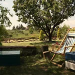 Villa Nikiti 아파트